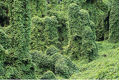 《地狱潜者2》在线人数破450000万 进入Steam前二十